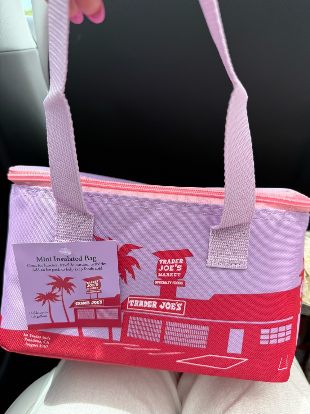 Trader Joe’s Lavender Haze and Pink Mini Insulated Tote Bag